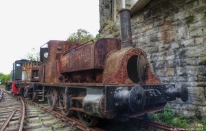 Out in the open, May 2014 (Michelle Louise Scoplin)