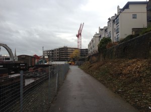 Showing the vegetation clearance next to the retaining wall